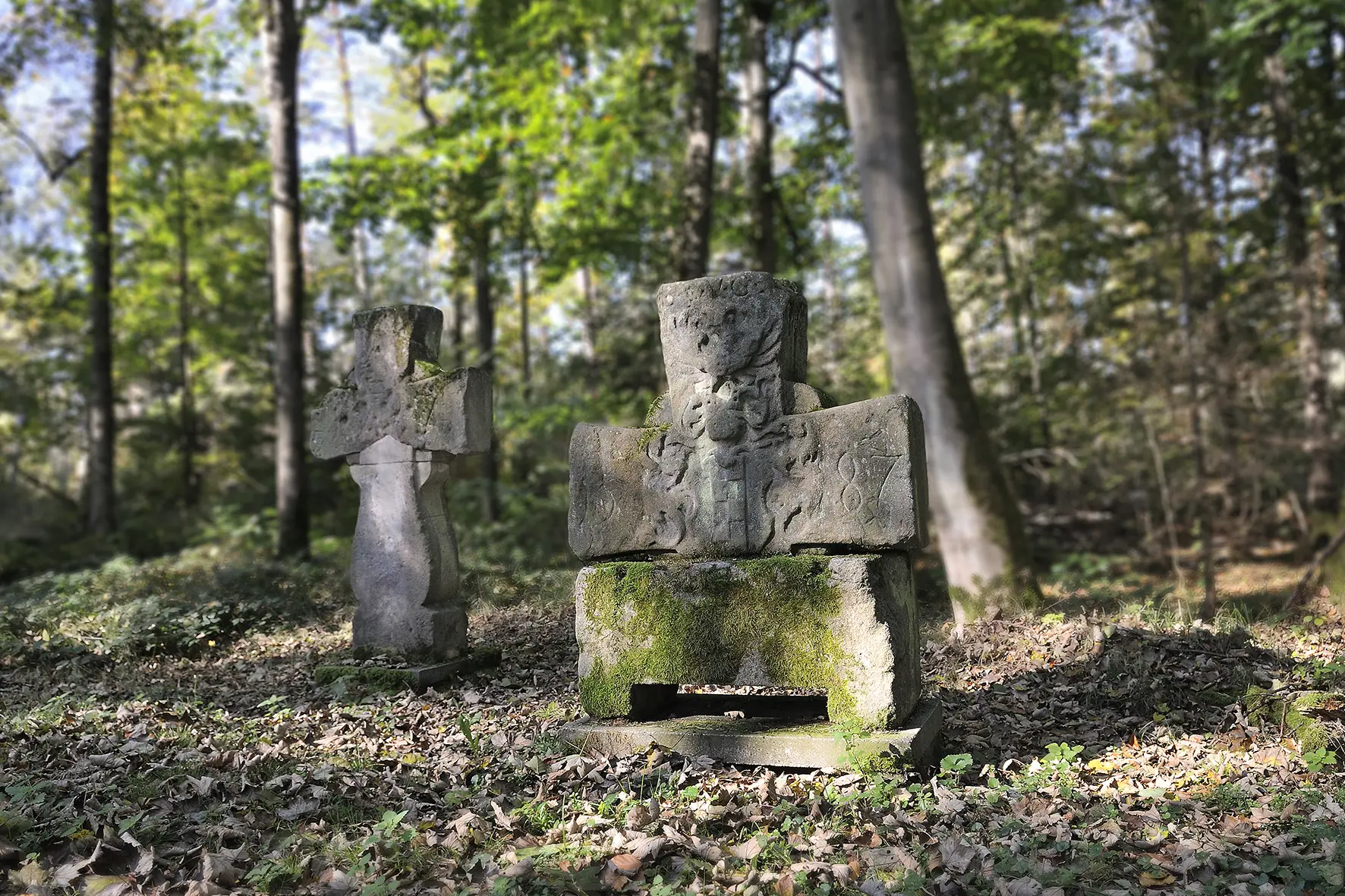 Wandern und Nordic Walking